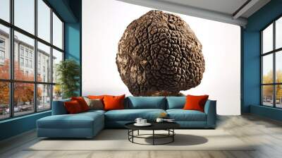 fresh black truffle on white background Wall mural