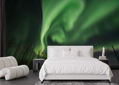 aurora borealis in Canada  Wall mural