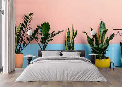 Various indoor plants with leaves on colored background with space for copying. Wall mural