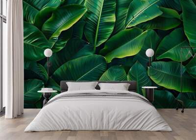 A background of tropical leaves texture, intricate patterns of overlapping heliconia leaves, vibrant green hues, dense and tropical feel, hd quality, natural look. --ar 16:9 --v 6. Wall mural