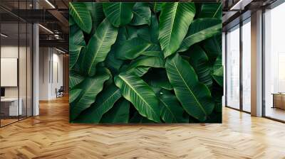 A background of tropical leaves texture, intricate patterns of overlapping heliconia leaves, vibrant green hues, dense and tropical feel, hd quality, natural look. --ar 16:9 --v 6. Wall mural