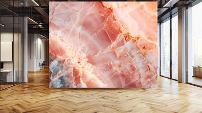 Soft pink marble with delicate white and grey streaks, captured at an oblique angle with warm golden hour sunlight to create a serene and calming atmosphere. --ar 16:9 --v 6.0 --s 250 --style raw Wall mural