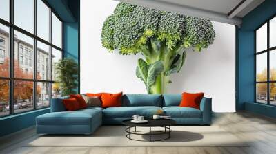 A fresh green broccoli floret with stem, isolated on a white background. Wall mural