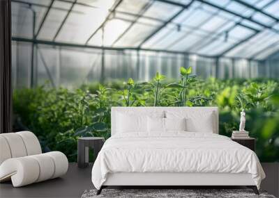 Green plants growing in a greenhouse. Wall mural