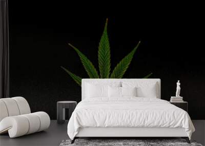 Color leaf of S.A.G.E. variety of marijuana ripened flower with black background Wall mural