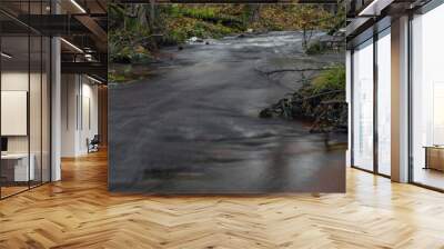 Jezerni creek in autumn color morning with red water and green beautiful forest Wall mural