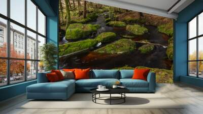 Jezerni creek in autumn color morning with red water and green beautiful stones Wall mural