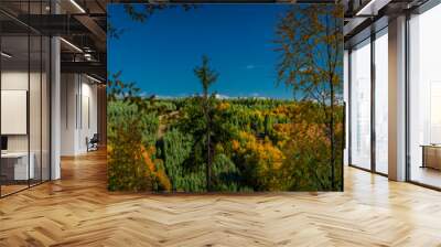 Nice autumn meadows and forests in sunny color day near Jaworki village Wall mural