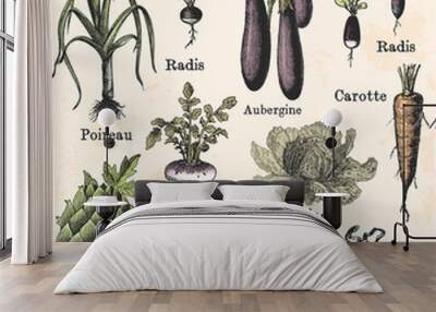 Légumes du jardin Wall mural