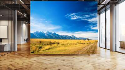 House and a Barn on a Golden Grass Prairie against the Grand Teton Mountains.  Near Moulton Barns.  Grand Teton National Park, Jackson Hole, Wyoming, USA. Wall mural