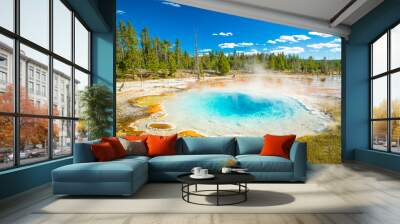 Yellowstone National Park, Wyoming, USA.  Prismatic spring.  Norris Geyser Basin, Upper Geyser Pool. Wall mural