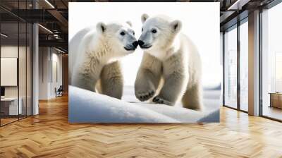 Two baby polar bears playing in the snow Wall mural