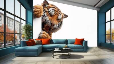 Wildlife, tiger peeking behind a wall, Banner for design with copy space Wall mural