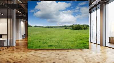 Alnwick Pastures in Northumberland on a beutiful spring day Wall mural