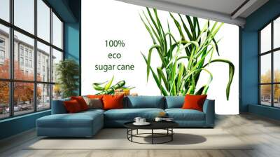 sugar cane, plant, refined, colored hand drawing 

green branches of sugar cane on a white background, cubes of sugar, the inscription, colored drawing hands Wall mural