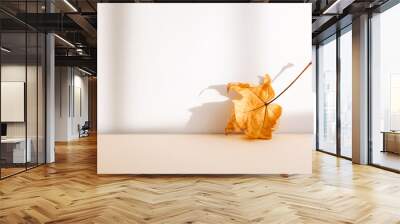 Abstract autumn studio background with maple tree leaves and shadows on wall. Wall mural