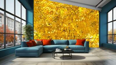 autumn. background of yellow and red oak leaves, Rowan and birch Wall mural