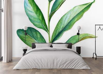 Watercolor illustration of a green plant branch. Wall mural