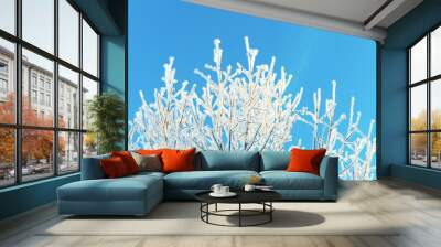 Tree branches covered with white frost against clean blue sky on sunny winter day Wall mural