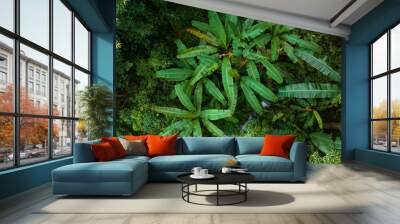 Aerial view of tropical forest in summer Wall mural