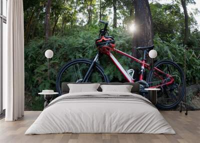 One mountain bike at rainforest trail Wall mural