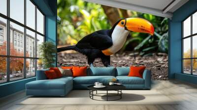 A toco toucan with black and white feathers, a yellow beak, walking on the ground in a tropical forest, a highly detailed photo Wall mural