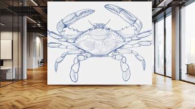 Atlantic blue crab, callinectes sapidus in top view Wall mural