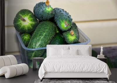 Green fresh cucumbers Wall mural