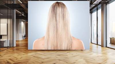 Woman, hair and back of a blonde woman with keratin treatment hairstyle or hair care. Beauty salon, blond hair and hair style or haircare of a lady with healthy, beauty and long healthy hair Wall mural