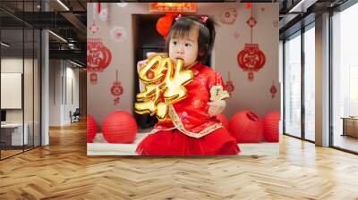 Chinese baby girl traditional dressing up hold a 