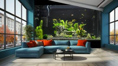 beautiful planted tropical freshwater aquarium with fishes. aquascape. Wall mural