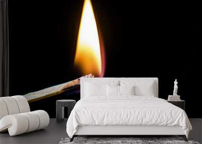 Burning match over black background Wall mural