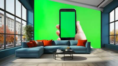 Male hand with Smartphone over green screen. Place for your advertisement. Wall mural