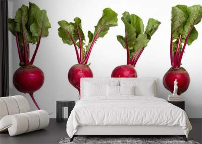 Quartet of Vibrant Radishes, Their Crimson Skin Contrasting Vividly Wall mural