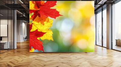 Autumn template with red maple leaves and sunlight Wall mural