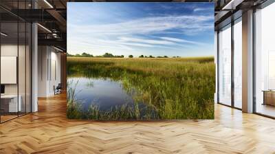 Aussicht über landwirtschaftlich genutzte felder mit einem kleinen Teich und Markanten Wolken am blauen Himmel. Die Landschaft ist am Rand von Hamburg in Deutschland Wall mural