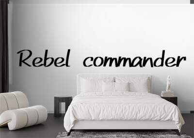 Rebel commander のホワイトボード風イラスト Wall mural