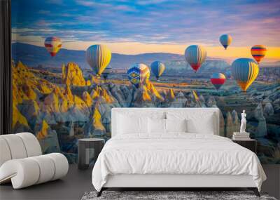 Amazing panoramic view of sunrise Cappadocia landscape with colorful hot air balloons in the love valley- Travel destination concept Turkey Wall mural