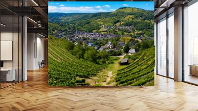 beautiful Aveyron village in France with freen grapes- Marcillac Vallon Wall mural