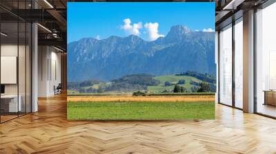 france landscape countryside panorama with alps moutain Wall mural