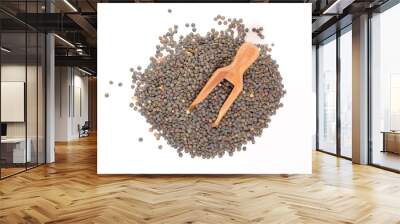 green lentils- raw legume and wooden spoon isolated on white background Wall mural