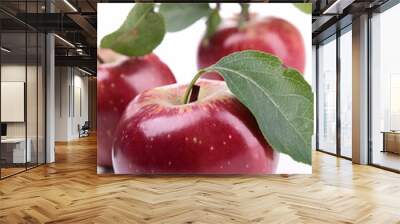 isolated red apple and leaf Wall mural