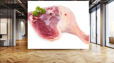 raw duck leg isolated Wall mural