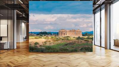 Temple ruins in Selinunte, Archaeological site, ancient greek town in Sicily Wall mural