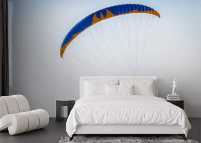 Paramotor Wall mural