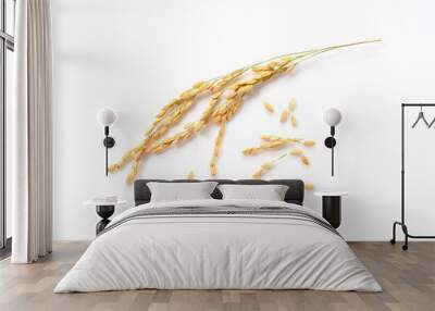 Ears of rice on a white background Wall mural