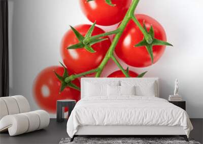 Tomatoes on a white background Wall mural