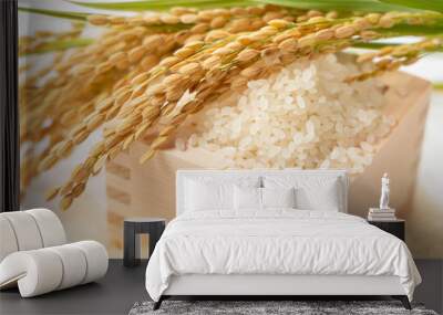 White rice, Masu and ears of rice on a white background Wall mural