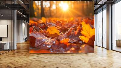 Closeup of Autumn leaves with drops of water on the forest ground, with the setting sun in the background Wall mural