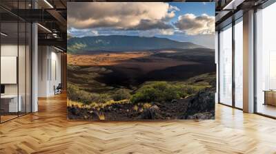 
A beautiful landscape image of Haleakala National Park.  Wall mural